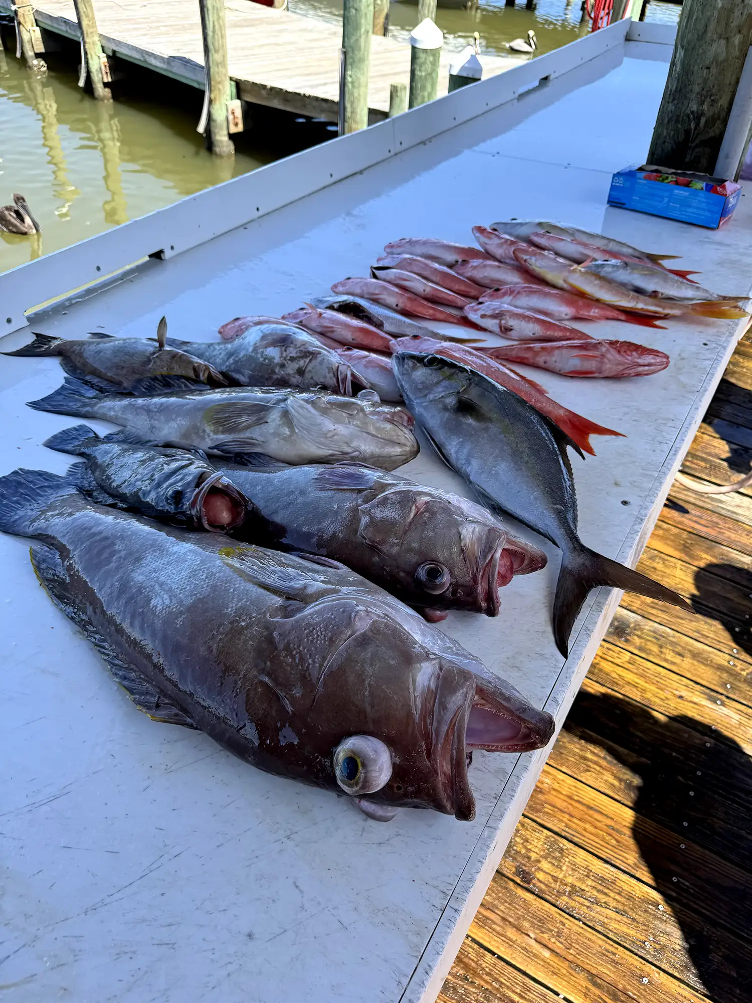 Extreme Offshore Fishing